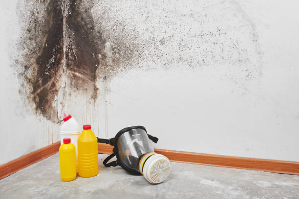 Best HVAC Mold Remediation in Owasso, OK