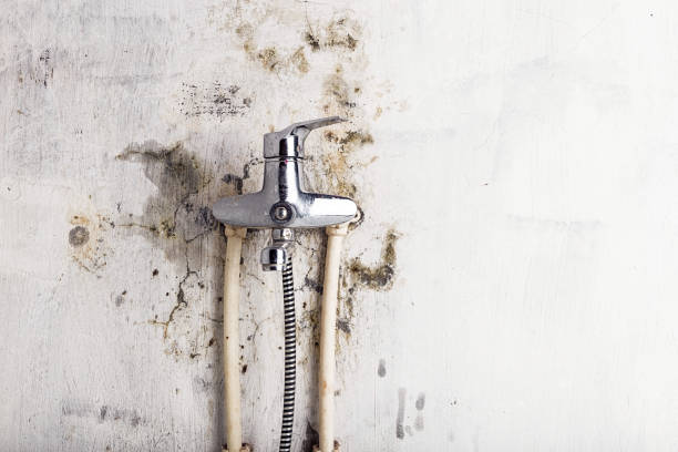 Best Residential Mold Remediation in Owasso, OK