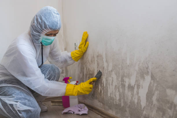 Professional Mold Remediation in Owasso, OK