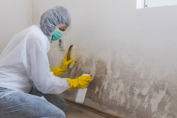 Best Bathroom Mold Remediation in Owasso, OK