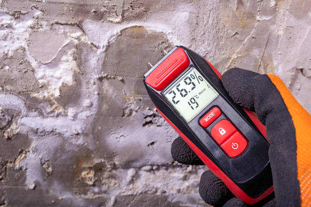Best HVAC Mold Remediation in Owasso, OK