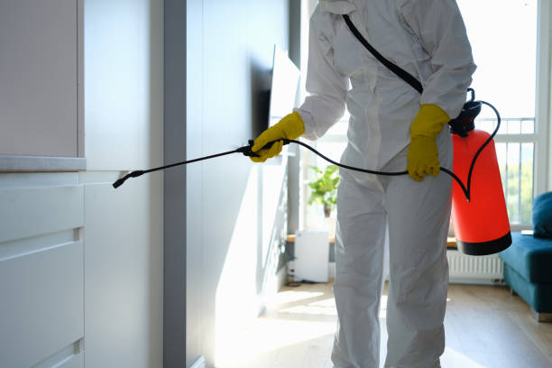 Best Emergency Mold Remediation in Owasso, OK