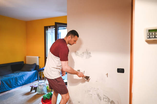 Best Health and Safety Mold Remediation in Owasso, OK